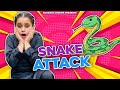 Snake attack | sapp kitho aa gya 😱😰 | Badi mushkil naal bache | @gursiratcheema