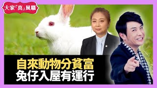 有人話自來貓自來狗唔好？自來動物、昆蟲、對家宅有什麼影響？ - LIVE 奇門遁甲 (玄學真風騷) 梁思浩 張芯熏師傅 20210629