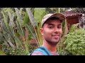 welcome to dandeli stonewood jungle resort in karnataka india...