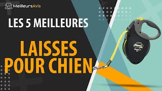 ⭐️ MEILLEUR LAISSE POUR CHIEN - Avis \u0026 Guide d'achat (Comparatif 2021)