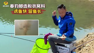 水库春钓鲫鱼窝料选粉状！诱鱼时间快、留鱼时间长！