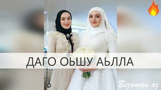 Петимат Еснакаева И Мадина Хамидова Даго Оьшу Аьлла😍