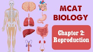 MCAT Biology: Chapter 2 - Reproduction (1/1)