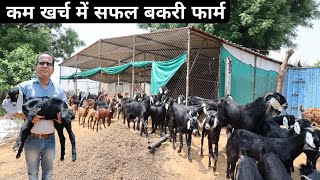 ऐसा शानदार बकरी फार्म देख कर मज़ा ना आए तो बोलना | Free Range Goat Farming