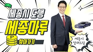 세종시 오피스텔 도시형생활주택 세종마루 알아보기. 토지, 단독주택, 전원주택 및 토지 정보