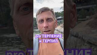 Как понять, ТЕРПИЛА или нет? telegram @gubanov_pro