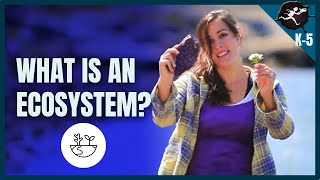 What is an Ecosystem?  K-5 Science Music Videos by Untamed Science