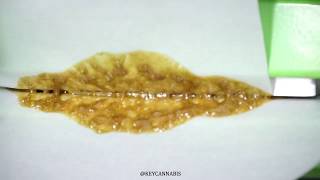 Pollen Master Rosin Tech Review Demo