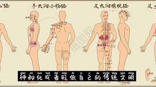 哈佛大学证实了中医经络