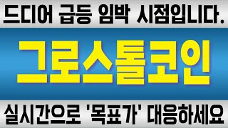 그로스톨코인 코인 / 드디어 급등 임박 시점입니다. 실시간으로 '목표가' 대응하세요