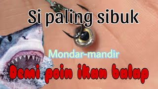 Si paling mancing dan sibuk sendiri.