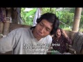 【k】indonesia travel sulawesi 인도네시아 여행 술라웨시 타나토라자 추수하는 농촌 풍경 harvest crops farm village tana toraja