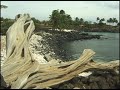 lapakahi state park big island hawaii