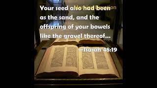 உன் சந்ததி மணலத்தனையாகவும், உன் கர்ப்பப்பிறப்பு அதின் அணுக்களத்தனையாகவும் இருக்கும். ஏசாயா 48:19