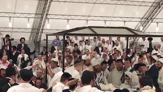 Uman 2017.  אומן תשע\