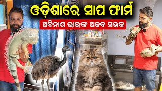 ଅବିନାଶ ଭାଇଙ୍କ ସାପ ଫାର୍ମ  || Best Pet Shop In Odisha.