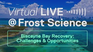 Virtual LIVE@Frost Science: World Ocean Day