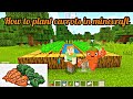 How to plant carrots in minecraft