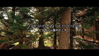 SOMEWHERE IN THE PYRENEES  /  ピレネー山脈のどこか  /  FIELD RECORDING