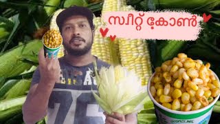 സ്വീറ്റ് കോൺ എങ്ങനെ തയ്യാറാക്കാം How to make sweet corn