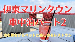 海を見ながらワンコとおいしい食事を楽しむ【次どこ行く？ Vol.8】 伊東マリンタウンで車中泊2