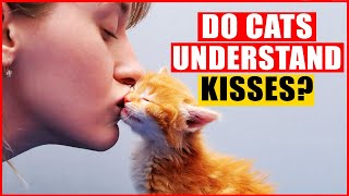 Do Cats Understand Hugs and Kisses?