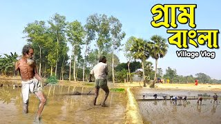 Real Bangladeshi Village Life। Shiter Shokal। বৈচিত্রময় নৈসর্গিক গ্রাম বাংলার দৃশ্য ও গ্রামীণ জীবন