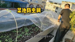 花几元钱，就能做一个小拱棚防虫网，也可做保温棚，方便实用