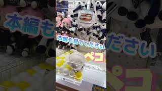 【スパイファミリー】ボンド欲しい〜【クレーンゲーム】