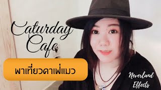 พาเที่ยว Caturday cafe คาเฟ่แมวที่กรุงเทพ เดินทางง่ายแถวราชเทวี