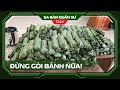 🟢 SBQS | Bão số 3 - Yagi & những bài học sau thiên tai: Làm ơn đừng gói bánh chưng nữa!!!