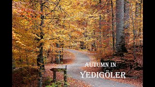 Autumn in YEDIGOLLER - Muhteşem renkleriyle  YEDİGÖLLER'de sonbahar (4K)