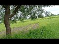 anamthagiri hills near 6 acars agriculture land darur mandal vikarabad 60 lkhs per acre