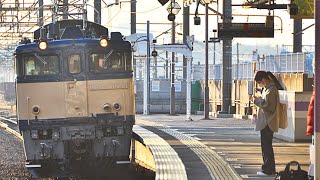 (爆音警笛！！単9535レE217系廃車回送に伴うEF64-1030返却回送