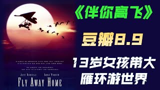 伴你高飞 家庭片 电影解说 || Fly Away Home Movie Summary