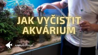 Jak vyčistit akvárium