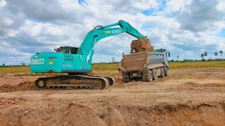 Amazing Excavator Digs Soil Like a Pro