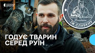 Волонтер годує десятки покинутих собак і котів у зруйнованому селі на Миколаївщині