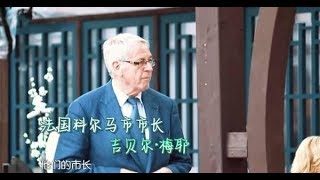 市长做客《中餐厅》苏有朋慌张，赵薇淡定救场