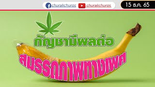 💖  กัญชามีผลต่อสมรรถภาพทางเพศ  ?   :  ชูรักชูรส ep 1055