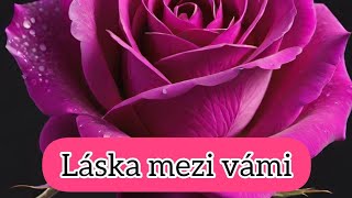 💗 Láska mezi vámi 💗