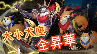 大犬與小犬座 全昇華【星耀爍天・下】【星光庇佑・米堤與波子】神魔之塔女兒節 x 耀脈星芒潛能解放