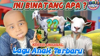 Tebak Binatang - Ini Binatang Apa ? #laguanak #tebakbinatang #suarabinatang #kbeeb