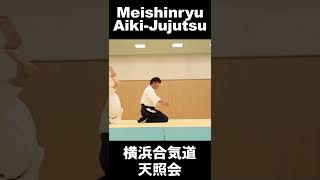 合気の可能性と技　合気の一教返し　What Aiki is Vol.18