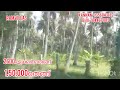 2600ഏക്കർ തെങ്ങ് നെല്ലി മാവ് പേര rv99 തമിഴ്നാട് ramvillas.....