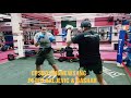 mma u0026 boxing coach peter kaljevic training bashar hitting the pads