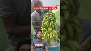 কলার নামে আমরা কি খাচ্ছি ।#viralvedio2025 #viralvedio #peyazu #comedy #reel #viral #viralpost