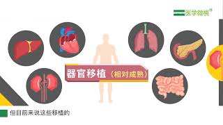 临床上，哪些人体器官移植术相对成熟？