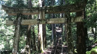 ⭐︎神社巡り#01⭐︎ 岐阜県美濃市『瀧神社』　🐉⛩️