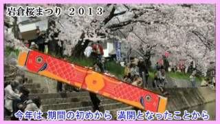 岩倉桜まつり2013